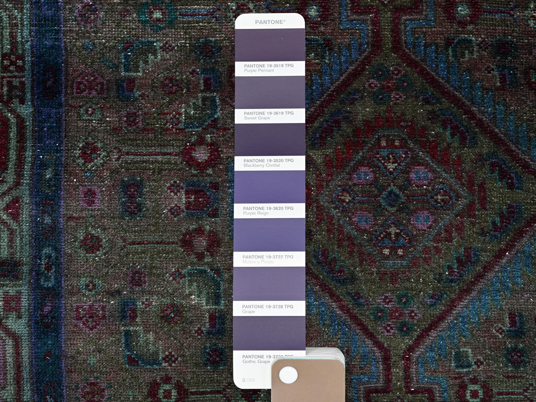 Text